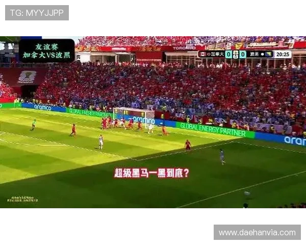 关注世界杯加拿大VS波黑比赛中的网络赌球陷阱与安全防护措施